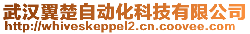 武漢翼楚自動化科技有限公司