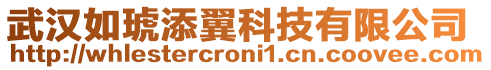 武漢如琥添翼科技有限公司