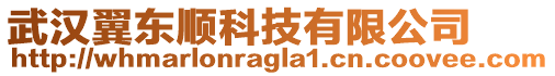 武漢翼東順科技有限公司