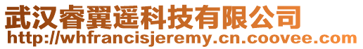 武漢睿翼遙科技有限公司