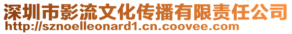 深圳市影流文化傳播有限責(zé)任公司