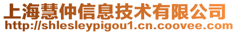 上海慧仲信息技術(shù)有限公司