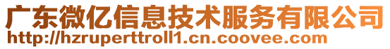 廣東微億信息技術(shù)服務有限公司