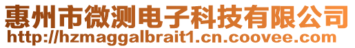 惠州市微測(cè)電子科技有限公司