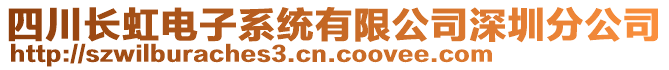 四川長虹電子系統(tǒng)有限公司深圳分公司