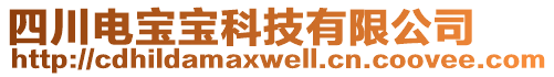 四川電寶寶科技有限公司