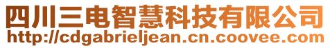 四川三電智慧科技有限公司