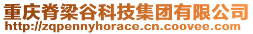 重慶脊梁谷科技集團(tuán)有限公司