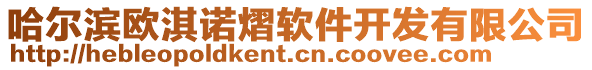 哈爾濱歐淇諾熠軟件開發(fā)有限公司