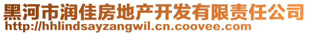 黑河市潤佳房地產(chǎn)開發(fā)有限責(zé)任公司