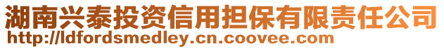 湖南興泰投資信用擔(dān)保有限責(zé)任公司