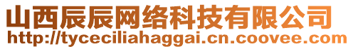 山西辰辰網(wǎng)絡(luò)科技有限公司