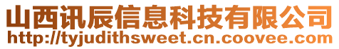 山西訊辰信息科技有限公司