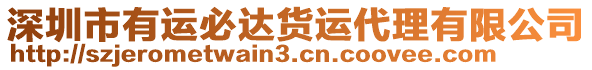 深圳市有運(yùn)必達(dá)貨運(yùn)代理有限公司