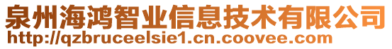 泉州海鴻智業(yè)信息技術(shù)有限公司