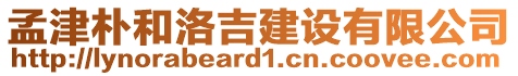 孟津樸和洛吉建設(shè)有限公司