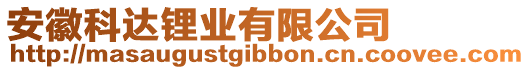 安徽科達(dá)鋰業(yè)有限公司