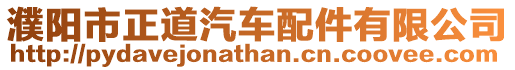濮陽(yáng)市正道汽車配件有限公司