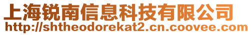 上海銳南信息科技有限公司