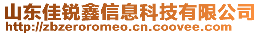 山東佳銳鑫信息科技有限公司