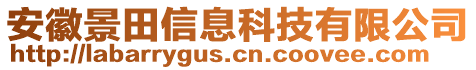 安徽景田信息科技有限公司