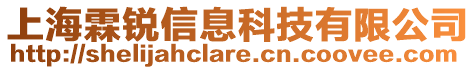 上海霖銳信息科技有限公司