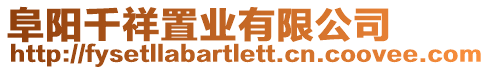 阜陽(yáng)千祥置業(yè)有限公司