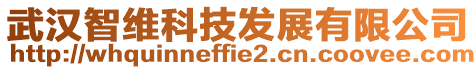 武漢智維科技發展有限公司