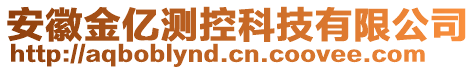 安徽金億測控科技有限公司