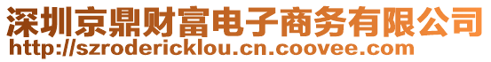 深圳京鼎財(cái)富電子商務(wù)有限公司