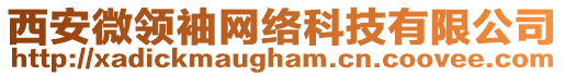 西安微領(lǐng)袖網(wǎng)絡(luò)科技有限公司