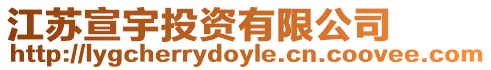 江蘇宣宇投資有限公司