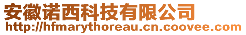 安徽諾西科技有限公司