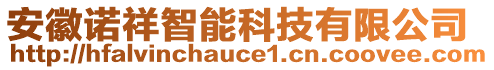 安徽諾祥智能科技有限公司