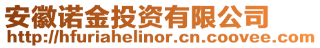 安徽諾金投資有限公司