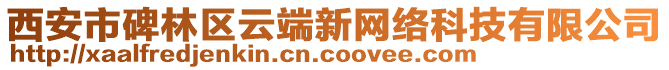 西安市碑林區云端新網絡科技有限公司