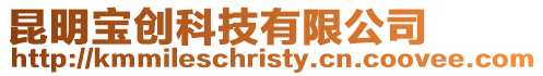 昆明寶創(chuàng)科技有限公司