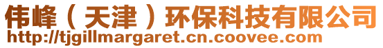 偉峰（天津）環(huán)保科技有限公司