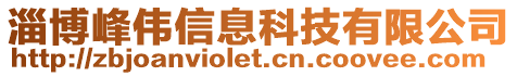 淄博峰偉信息科技有限公司