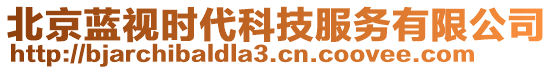 北京藍(lán)視時(shí)代科技服務(wù)有限公司