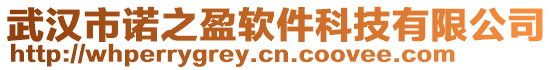 武漢市諾之盈軟件科技有限公司