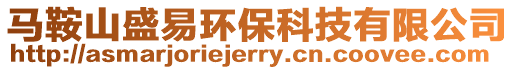 馬鞍山盛易環保科技有限公司