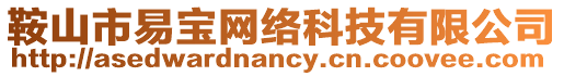 鞍山市易寶網絡科技有限公司