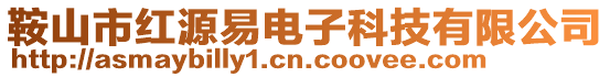 鞍山市紅源易電子科技有限公司