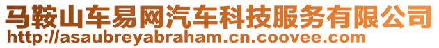 馬鞍山車易網(wǎng)汽車科技服務有限公司