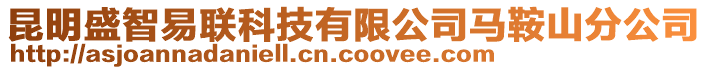 昆明盛智易聯科技有限公司馬鞍山分公司