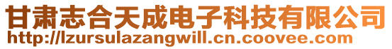 甘肅志合天成電子科技有限公司