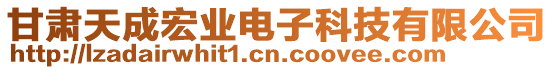 甘肅天成宏業(yè)電子科技有限公司