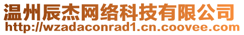 溫州辰杰網(wǎng)絡(luò)科技有限公司