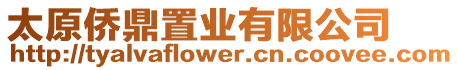 太原僑鼎置業(yè)有限公司